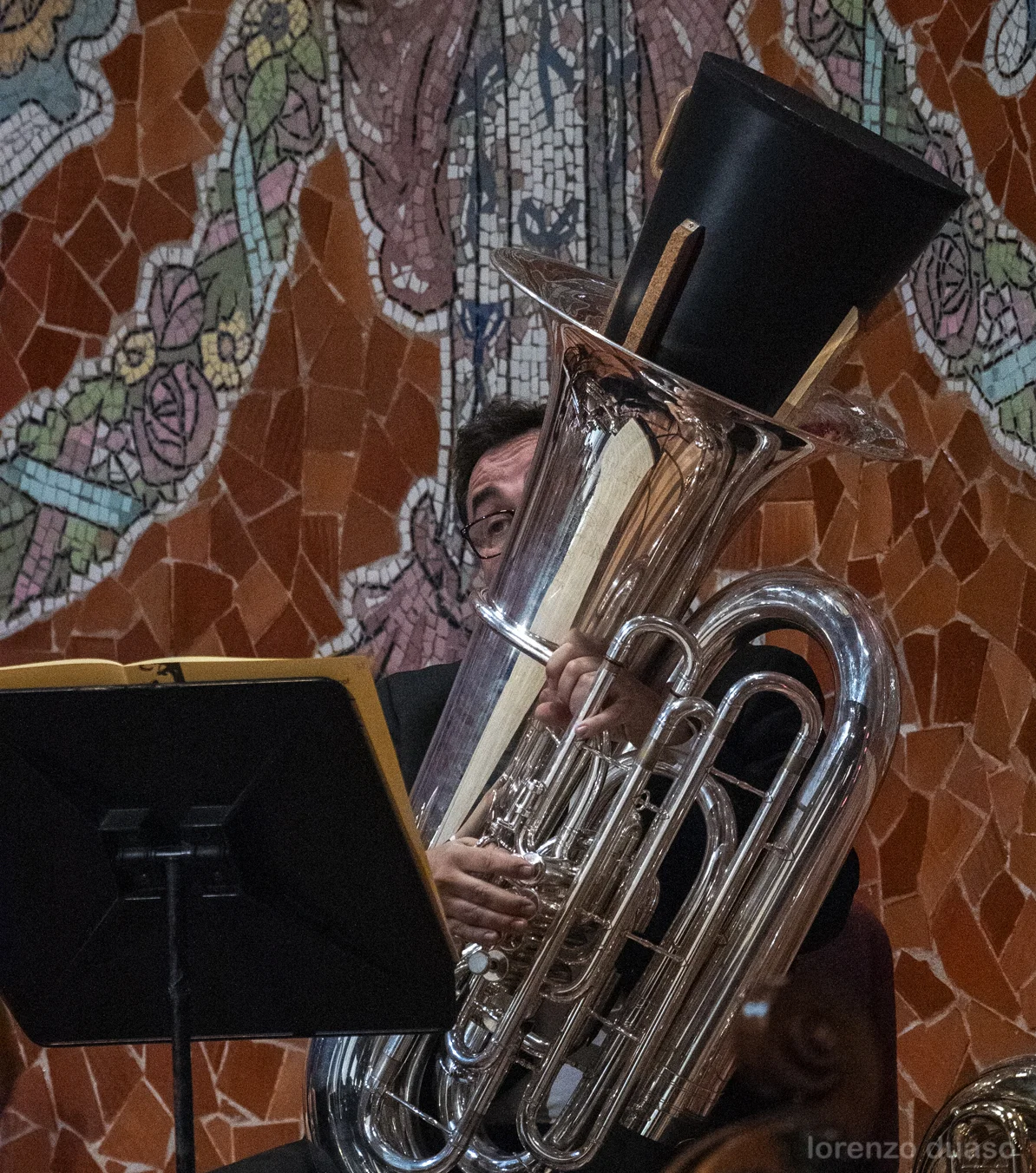 Primera Simfonia de Mahler | © Lorenzo Duaso