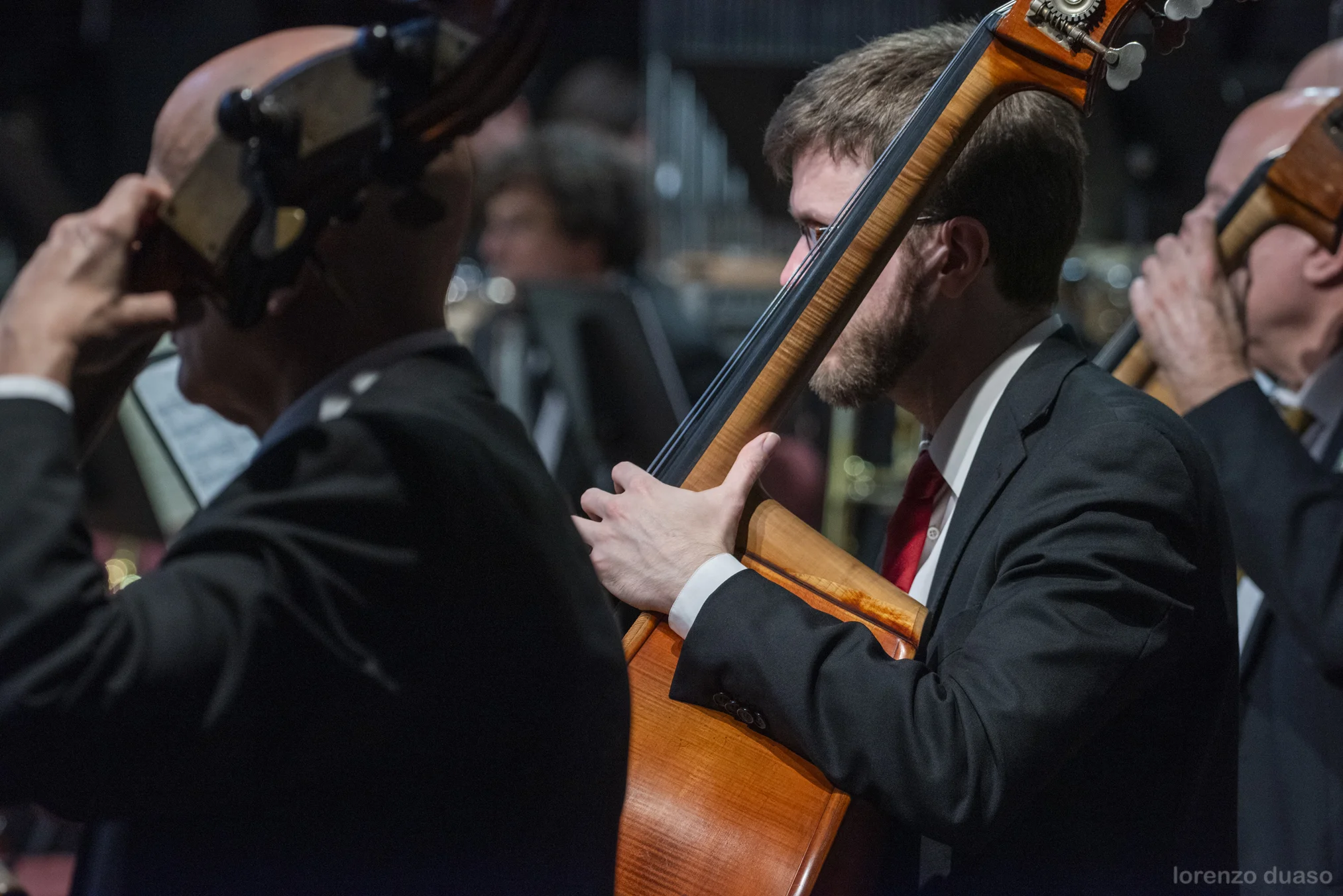 Chichester Psalms | © Lorenzo Duaso