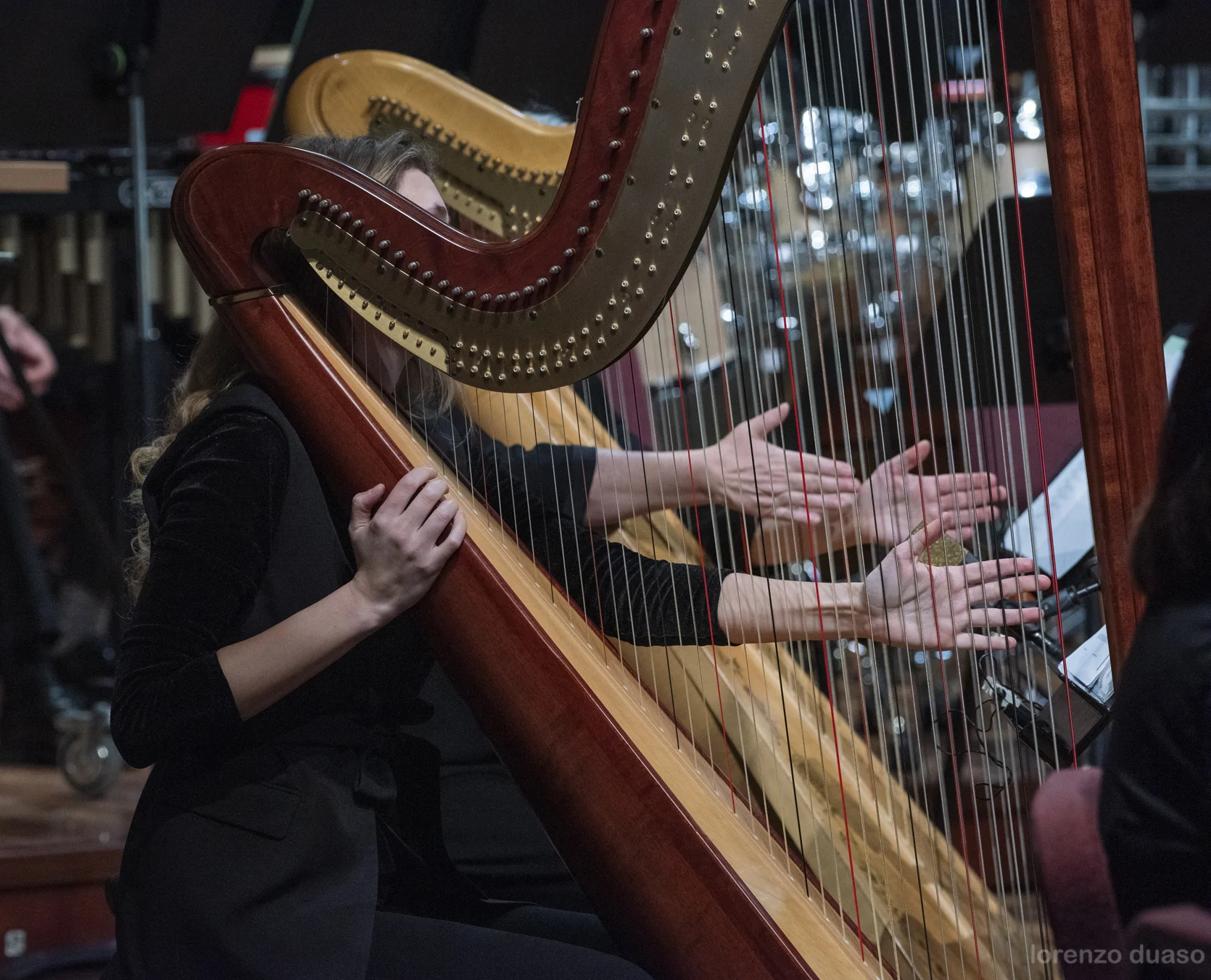 Chichester Psalms | © Lorenzo Duaso