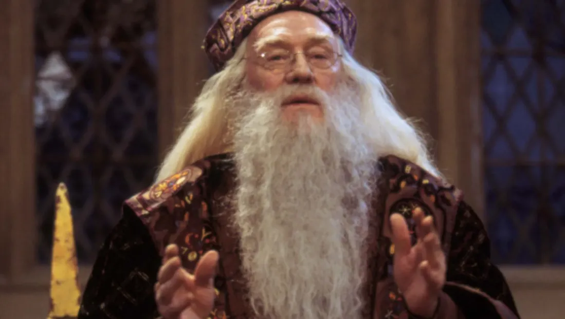 Harry Potter Harry Potter