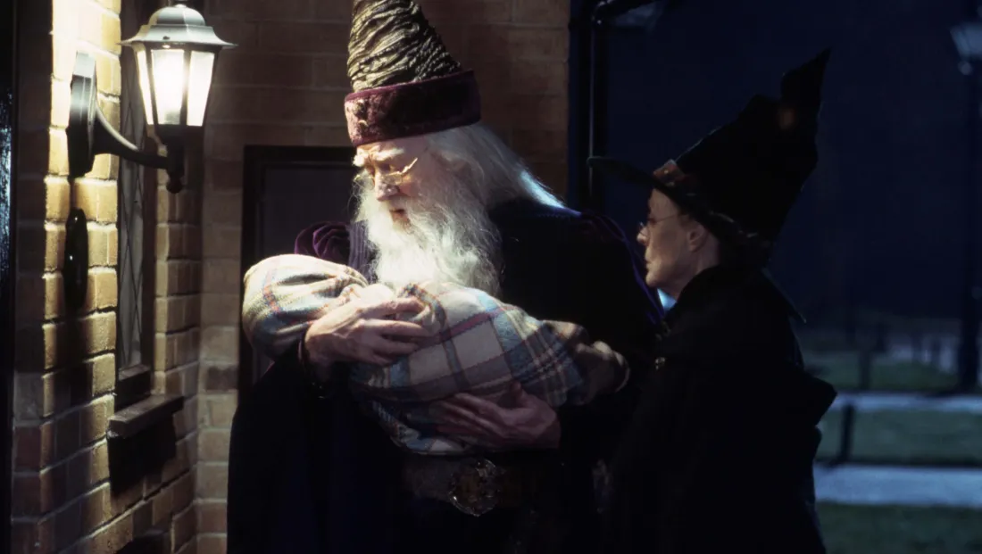 Harry Potter Harry Potter
