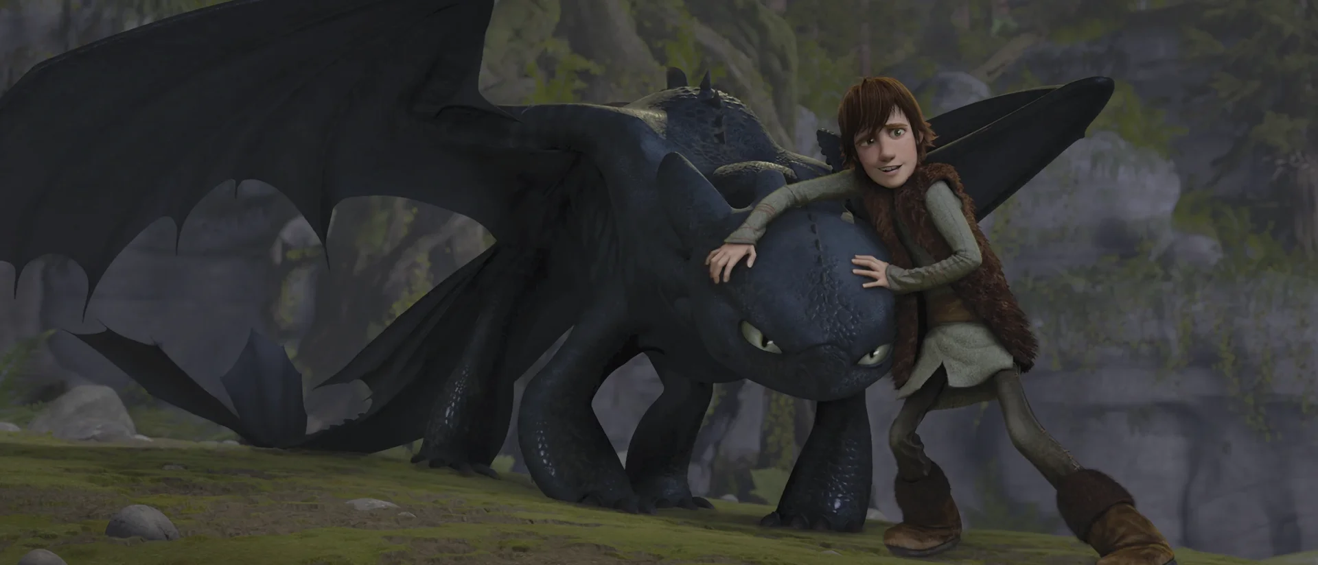 Com ensinistrar un drac